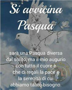 pasqua