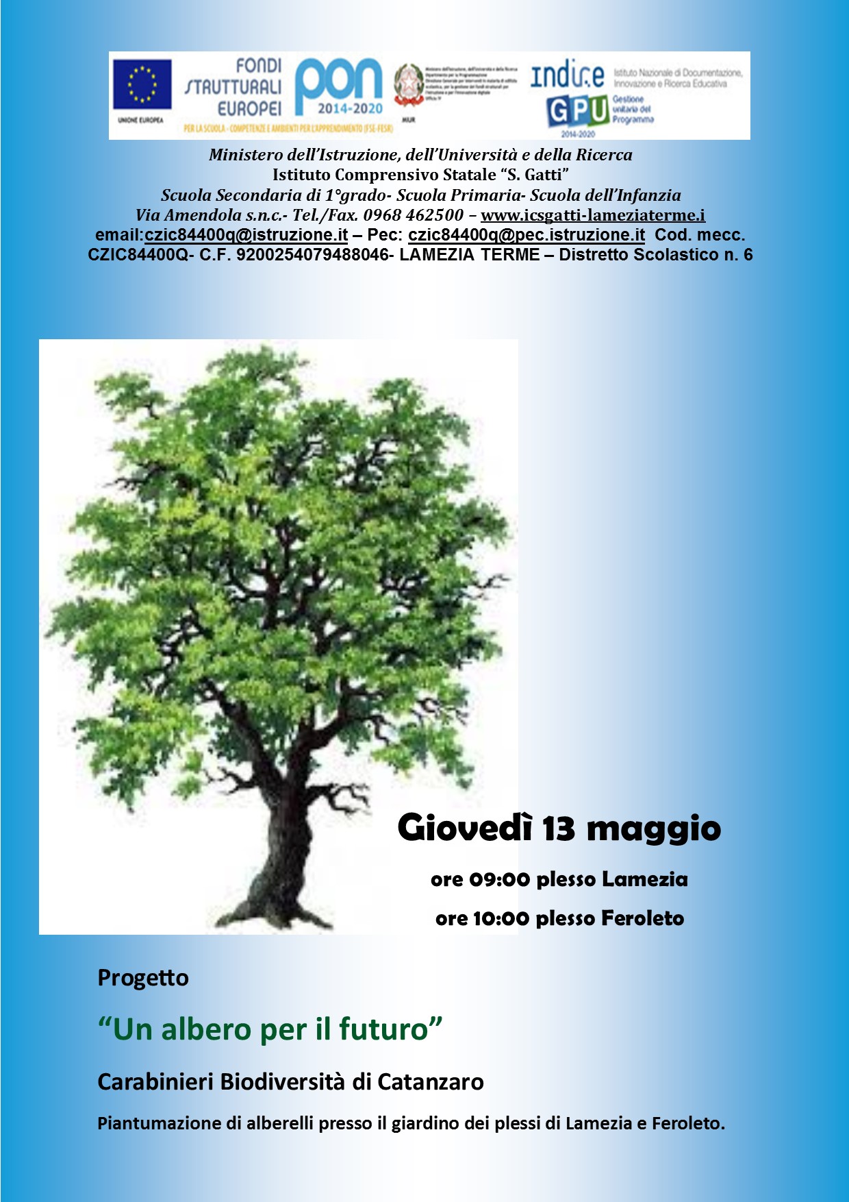 progetto un albero per il futuro